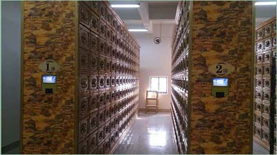 �Ͳ����ǹ�