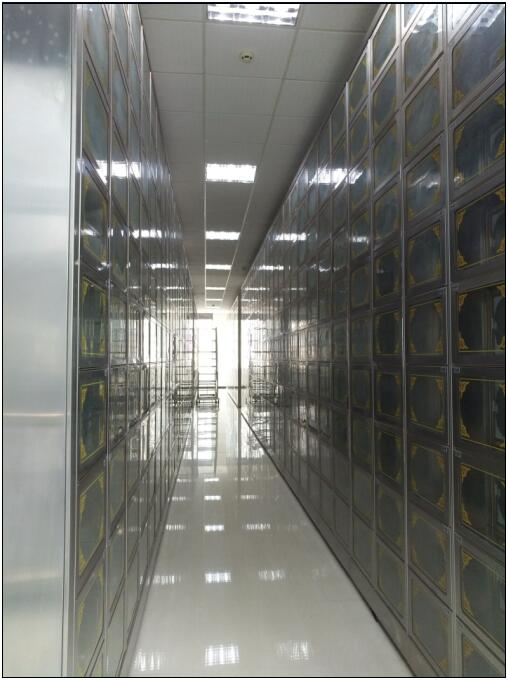 ˫�ţ������ţ��ǻҼܿ���ϵͳ